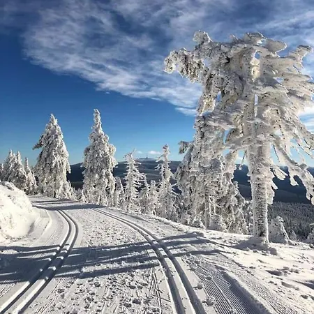 Modus 2 公寓 *